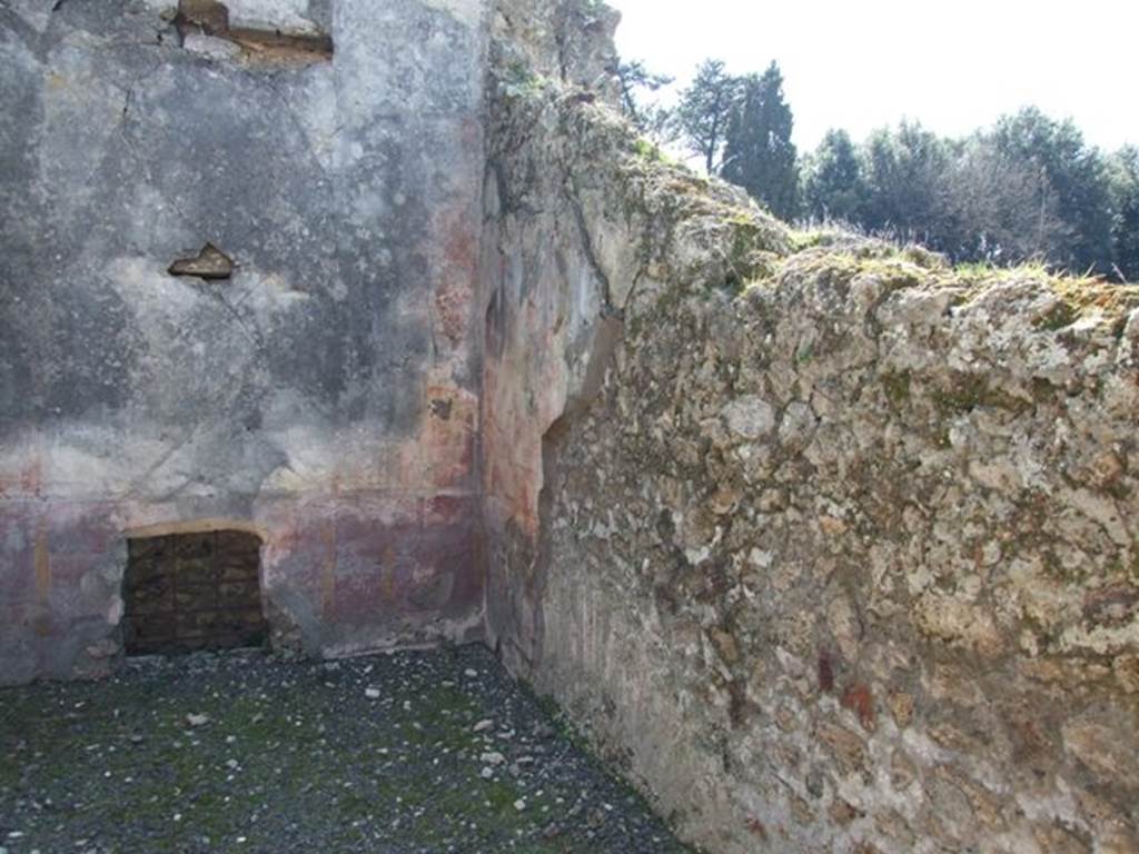 VIII.4.4 Pompeii.  March 2009.  Room 12.  West wall.