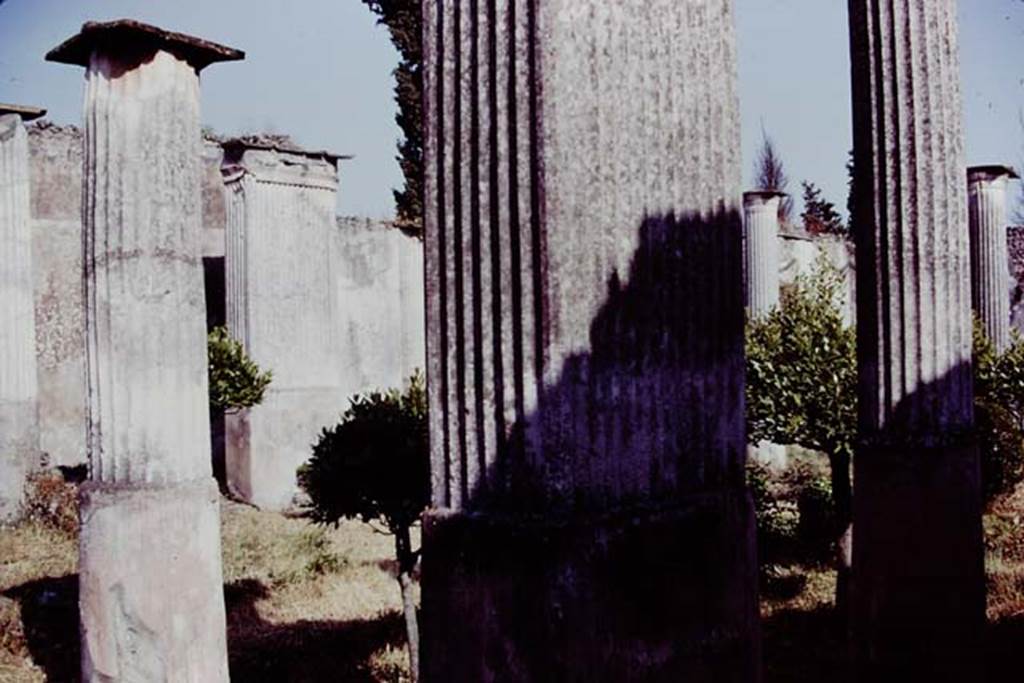 VIII.4.4 Pompeii, 1978. Looking south-east across peristyle. Photo by Stanley A. Jashemski.   
Source: The Wilhelmina and Stanley A. Jashemski archive in the University of Maryland Library, Special Collections (See collection page) and made available under the Creative Commons Attribution-Non Commercial License v.4. See Licence and use details. J78f0234

