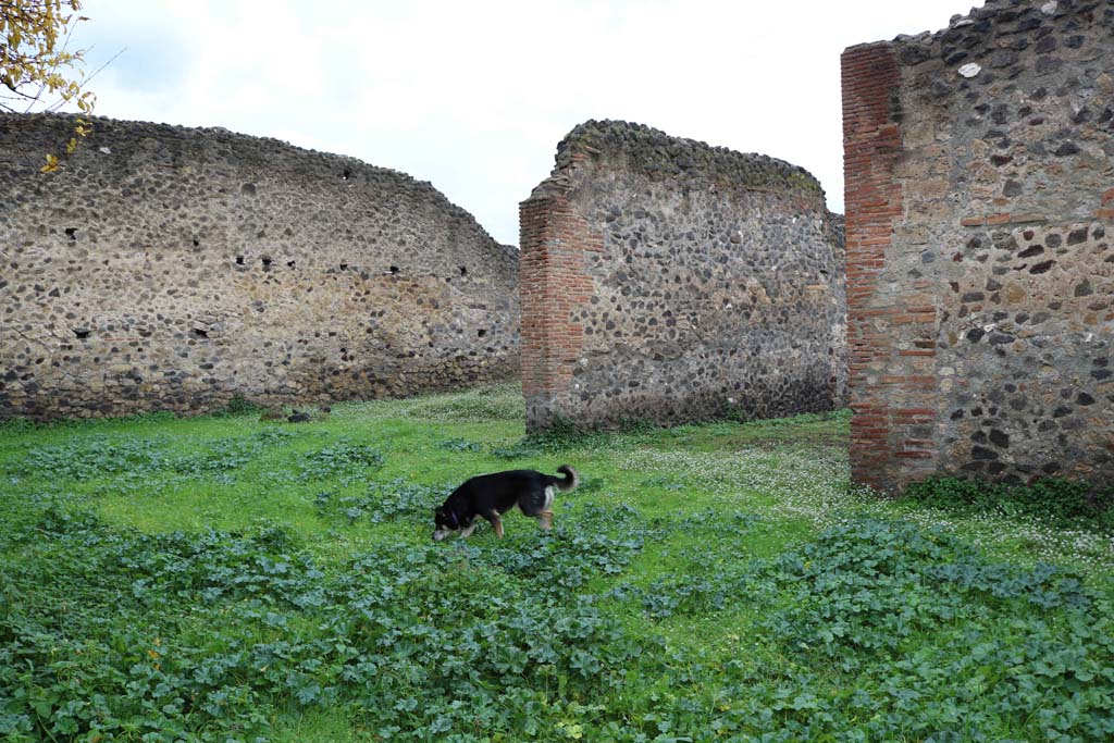 VIII.4.9, Pompeii. December 2018. Looking north-west from peristyle, with rear of tablinum, centre right. Photo courtesy of Aude Durand.