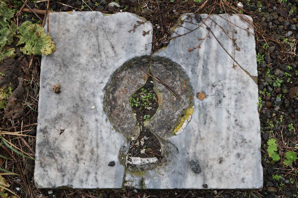 VIII.4.12, Pompeii. December 2018. Detail from west wall of peristyle. Photo courtesy of Aude Durand.

