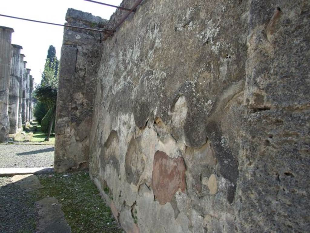 VIII.4.15 Pompeii. March 2009. Room 5, west wall of oecus.  