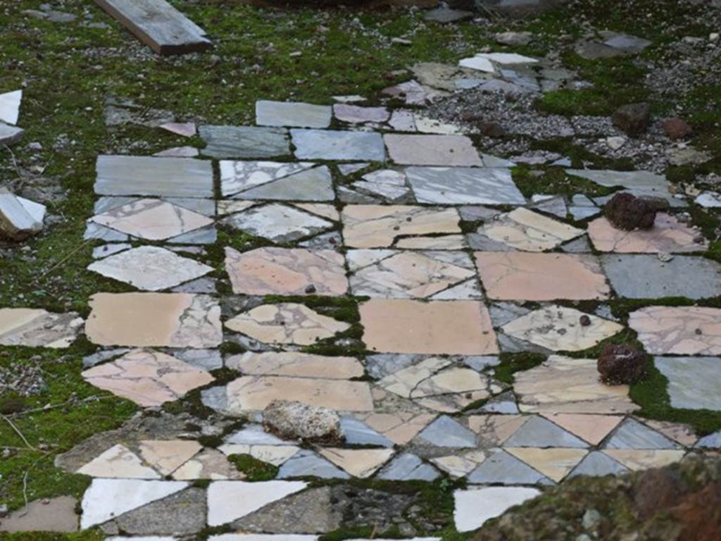 VIII.4.15 Pompeii. March 2009. Looking south from room 7, at the Opus sectile floor of room 18. The Opus sectile floor was made of interlocking shaped pieces of coloured marble.
