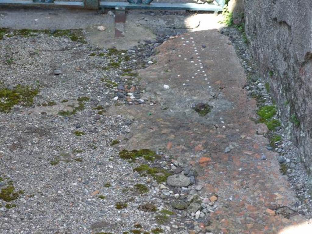 VIII.4.15 Pompeii.  March 2009.  Entrance fauces remains of decorated floor.