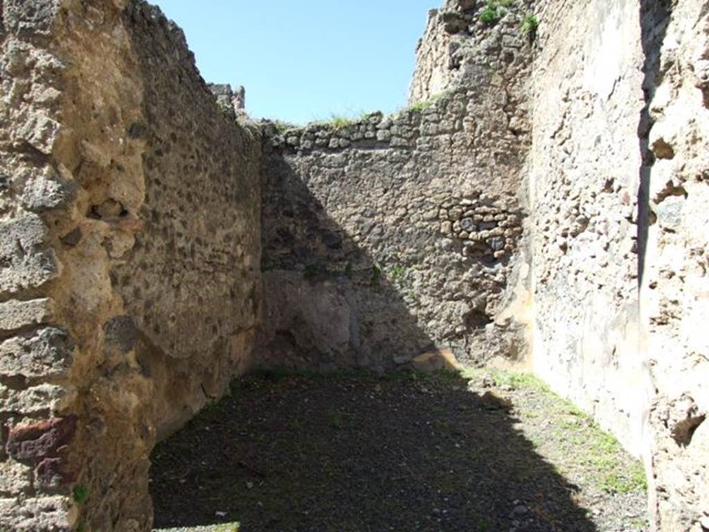 VIII.5.9 Pompeii.  March 2009.  Room 23.   West wall.