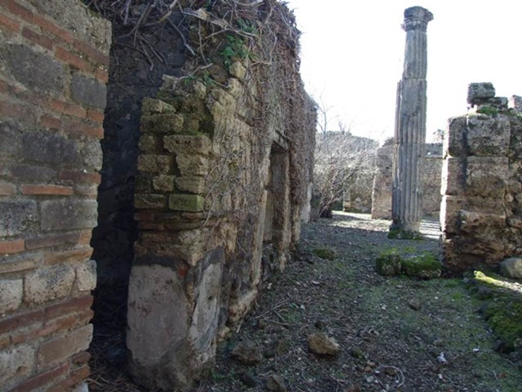 VIII.5.14 Pompeii.  March 2009.  Looking west from entrance.