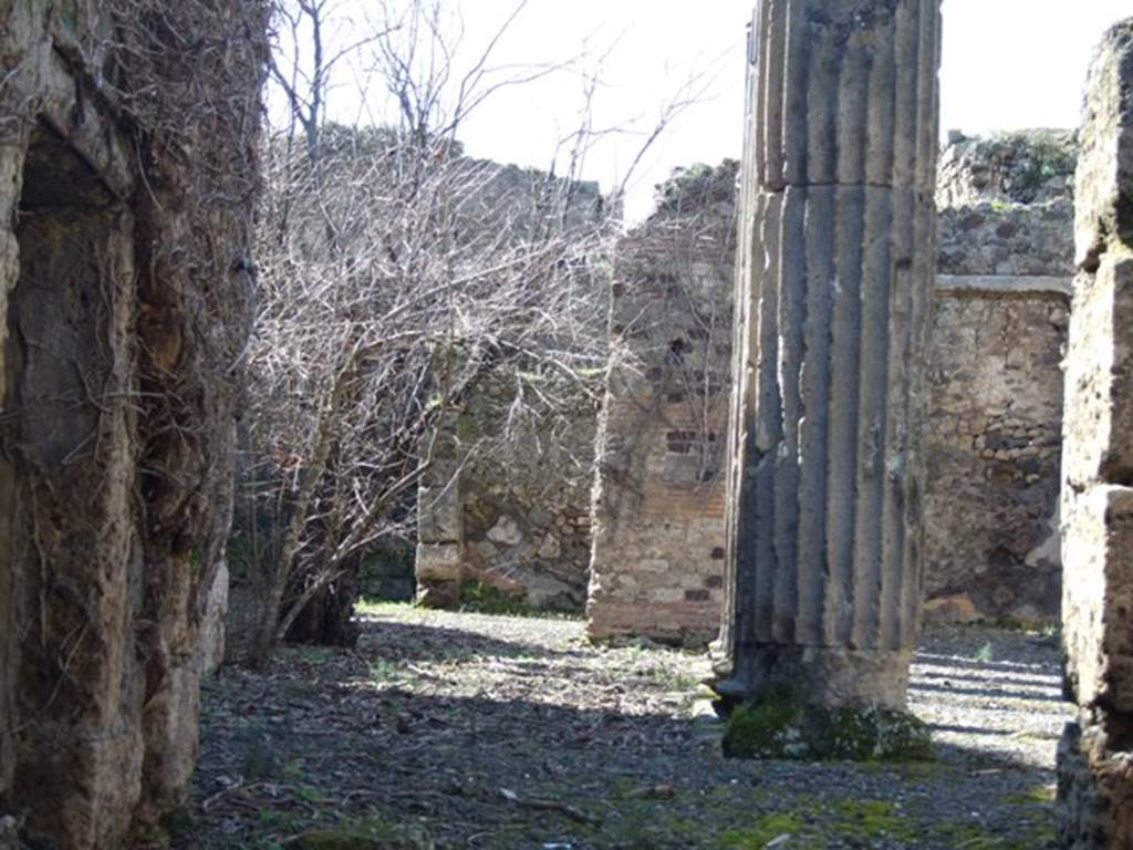 VIII.5.14 Pompeii.  March 2009.  Looking west across garden area, from entrance corridor.