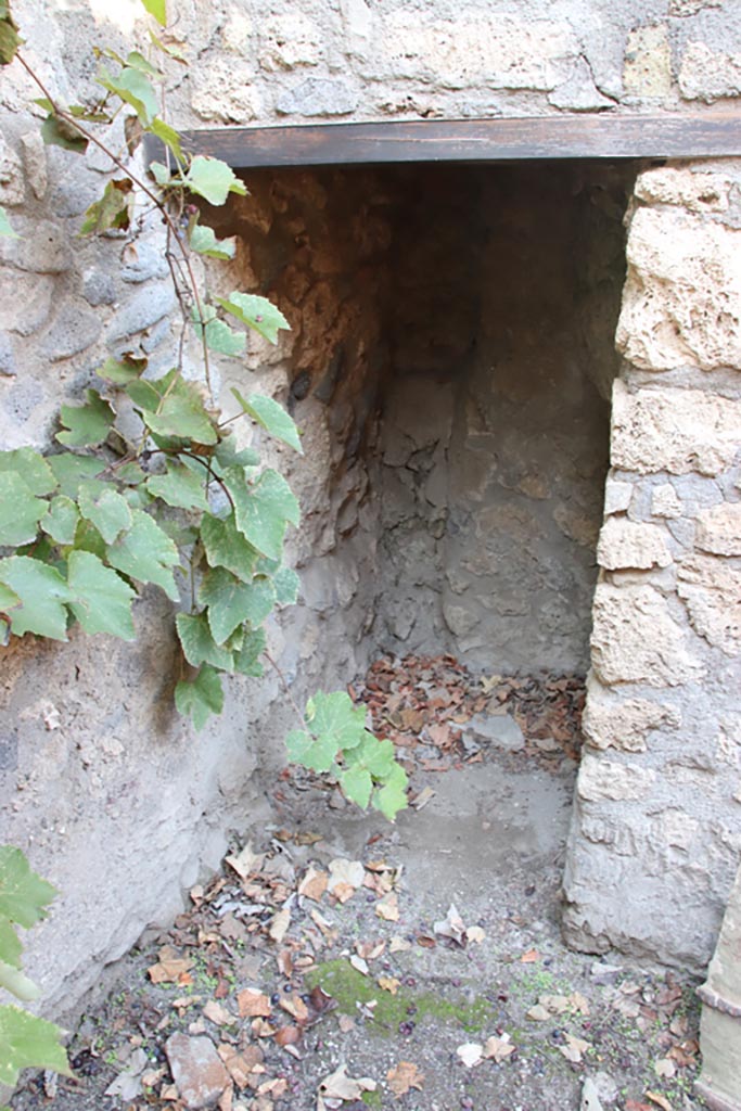 VIII.5.15 Pompeii. October 2022. 
Room 1, looking north into small room under stairs, latrine?  Photo courtesy of Klaus Heese. 
