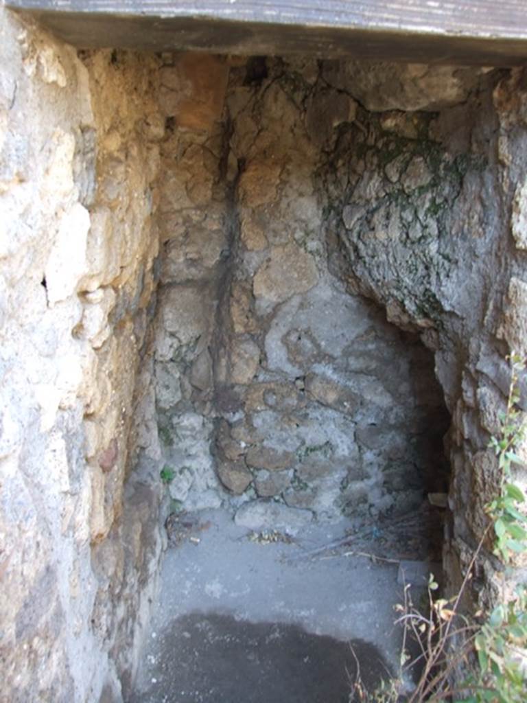 VIII.5.15 Pompeii. March 2009.  Room 1.  Small room under stairs. Latrine?  Looking north.