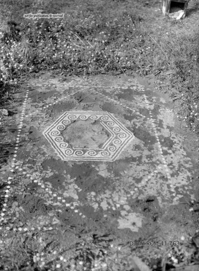 VIII.5.15 Pompeii. c.1930. Impluvium in atrium, the room accessible from the entrance at VIII.5.15.
DAIR 41.763. Photo © Deutsches Archäologisches Institut, Abteilung Rom, Arkiv.
See Pernice, E.  1938. Pavimente und Figürliche Mosaiken: Die Hellenistische Kunst in Pompeji, Band VI. Berlin: de Gruyter, 
see tav. 47.3, above.)
