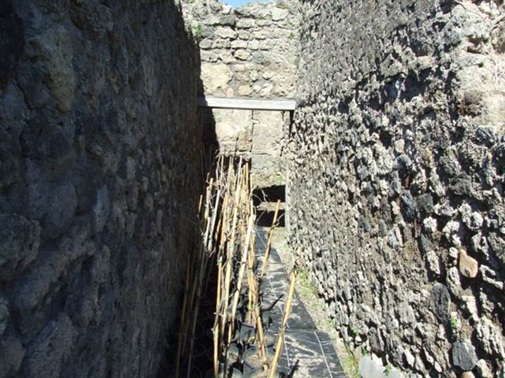 VIII.5.16 Pompeii.  March 2009.  Room 2. Corridor, looking north.