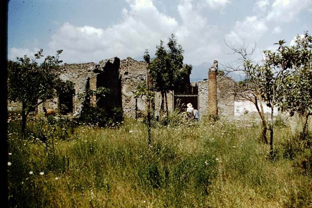 VIII.5.16 Pompeii. 1959. Looking towards north portico, with doorway in centre linking to VIII.5.15, then Wilhelmina and Tatiana Warscher  exiting into the small vicolo. On the right is the large entrance to Room 1, the open triclinium. Photo by Stanley A. Jashemski.  
Source: The Wilhelmina and Stanley A. Jashemski archive in the University of Maryland Library, Special Collections (See collection page) and made available under the Creative Commons Attribution-Non Commercial License v.4. See Licence and use details. J59f0308   
