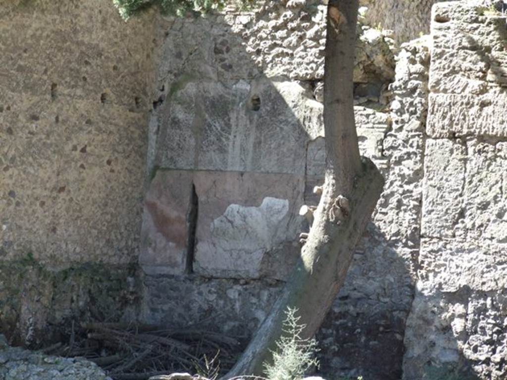 VIII.5.36 Pompeii.  March 2009.  Taken from VIII.5.28.  Remains of painted plaster in centre of West wall.