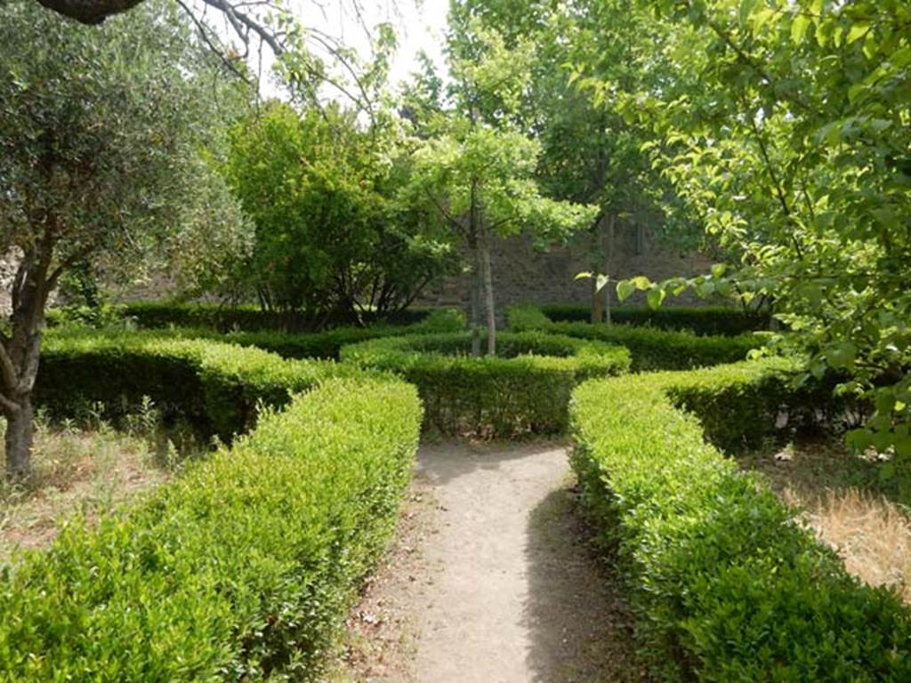 VIII.5.16 Pompeii. May 2017. Looking north across east side of garden area. Photo courtesy of Buzz Ferebee.