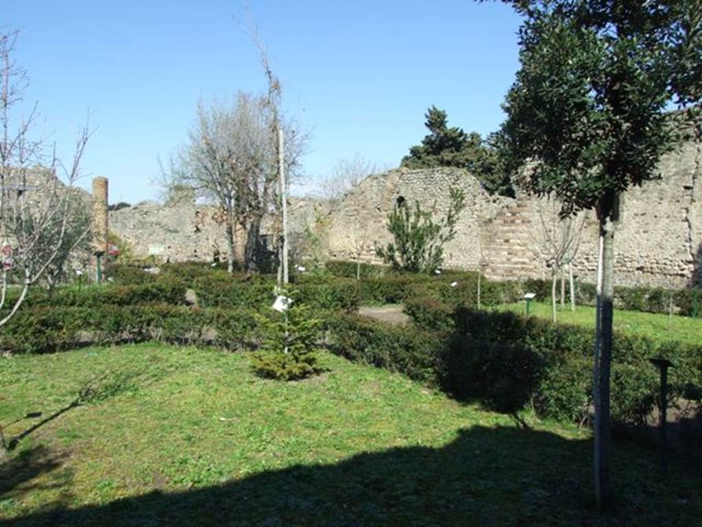 VIII.5.16 Pompeii.  March 2009.  Looking north east across garden, from near VIII.5.38.