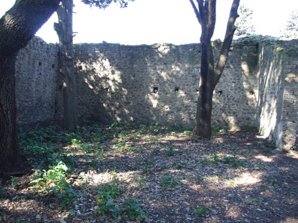 VIII.6.6 Pompeii.  March 2009. North west corner. Looking north at side of entrance corridor.