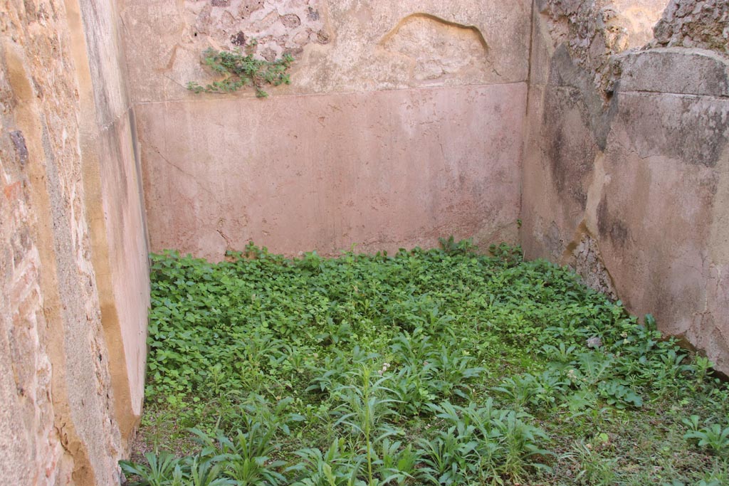 VIII.6.9 Pompeii. October 2022. Detail from south wall opposite the entrance doorway. Photo courtesy of Klaus Heese. 

