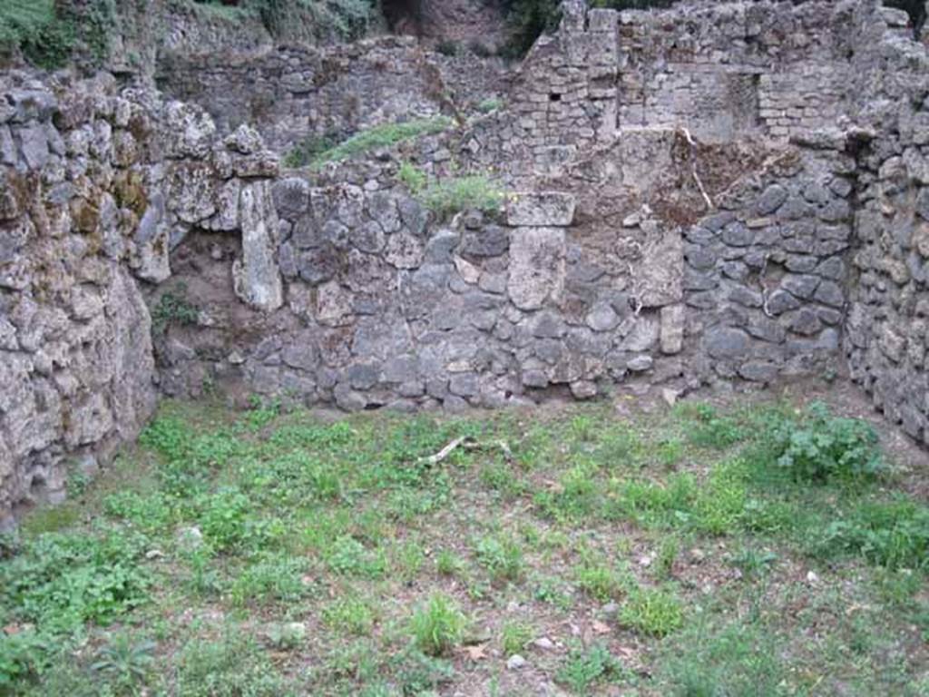 VIII.7.3 Pompeii. September 2010. West wall of rear room. Photo courtesy of Drew Baker.