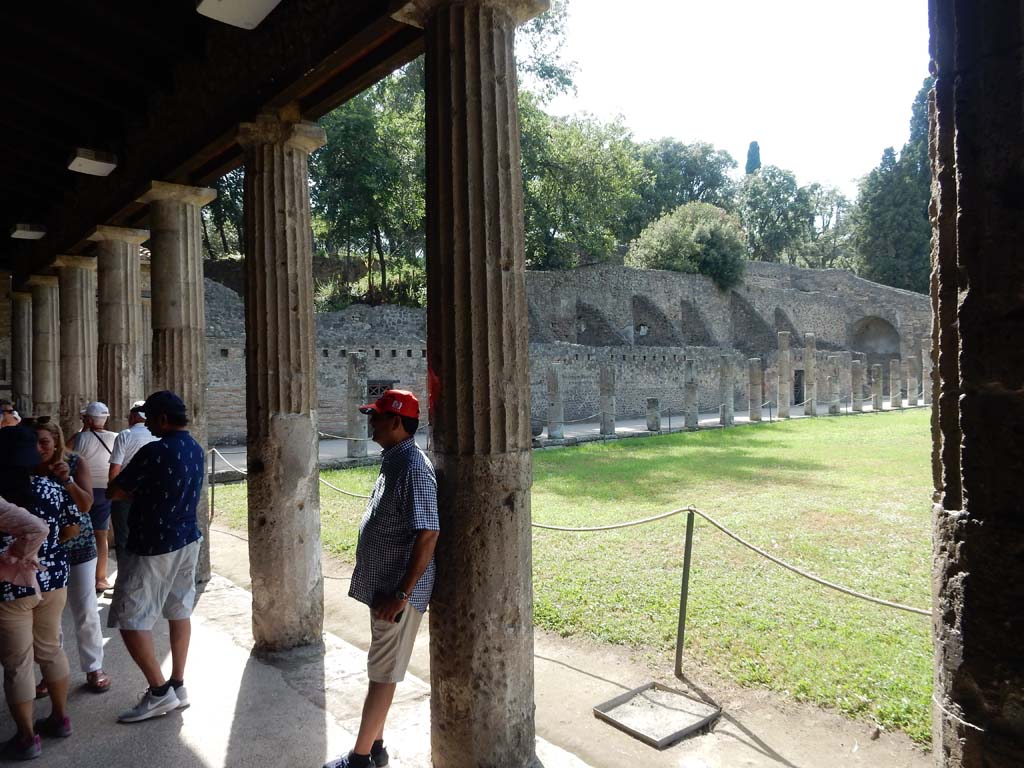 VIII.7.16 Pompeii. June 2019. Looking west along south side. Photo courtesy of Buzz Ferebee.