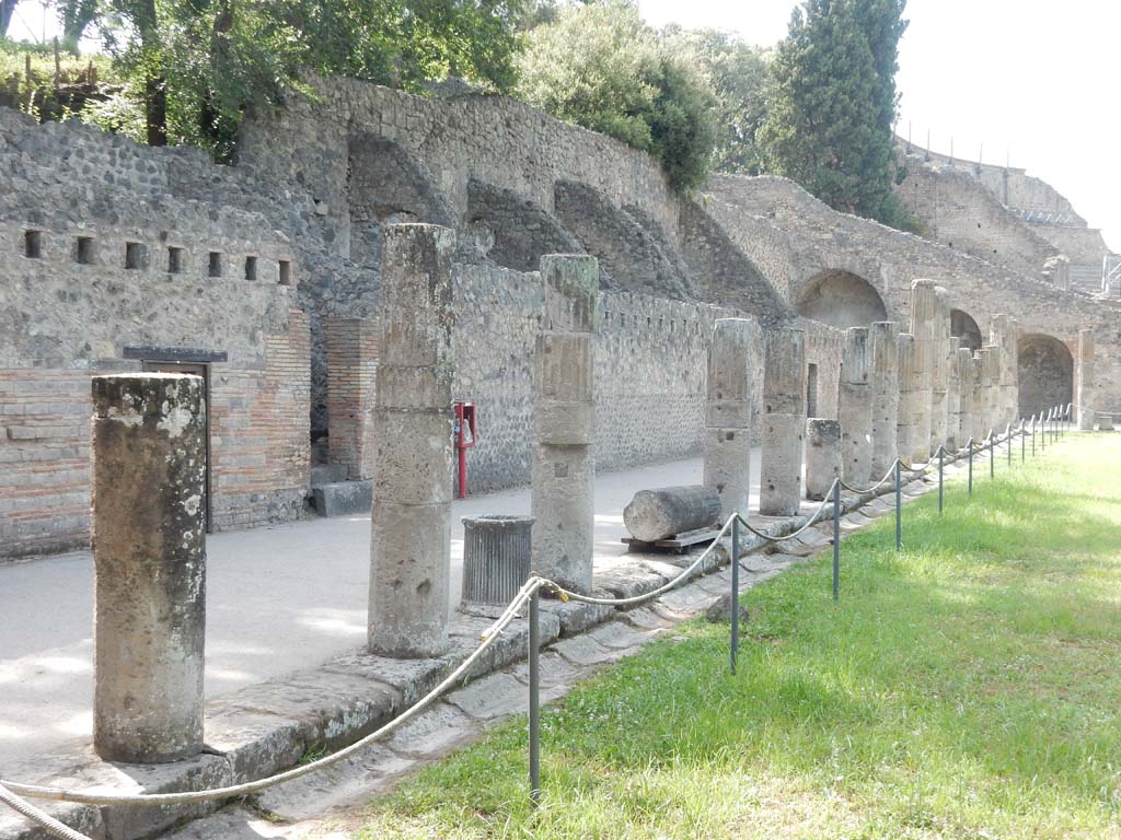 VIII.7.16 Pompeii. June 2019. Looking north along west side. Photo courtesy of Buzz Ferebee.

