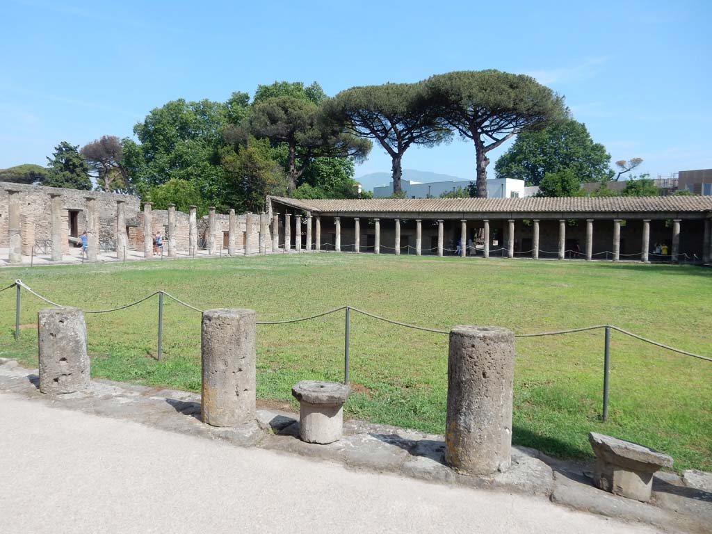 VIII.7.16 Pompeii. June 2019. Looking south from north side. Photo courtesy of Buzz Ferebee.