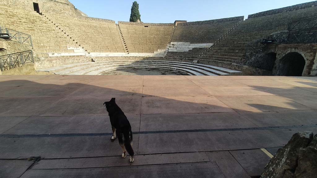 VIII.7.20 Pompeii. August 2021. Looking north from stage.
Foto Annette Haug, ERC Grant 681269 DÉCOR 
