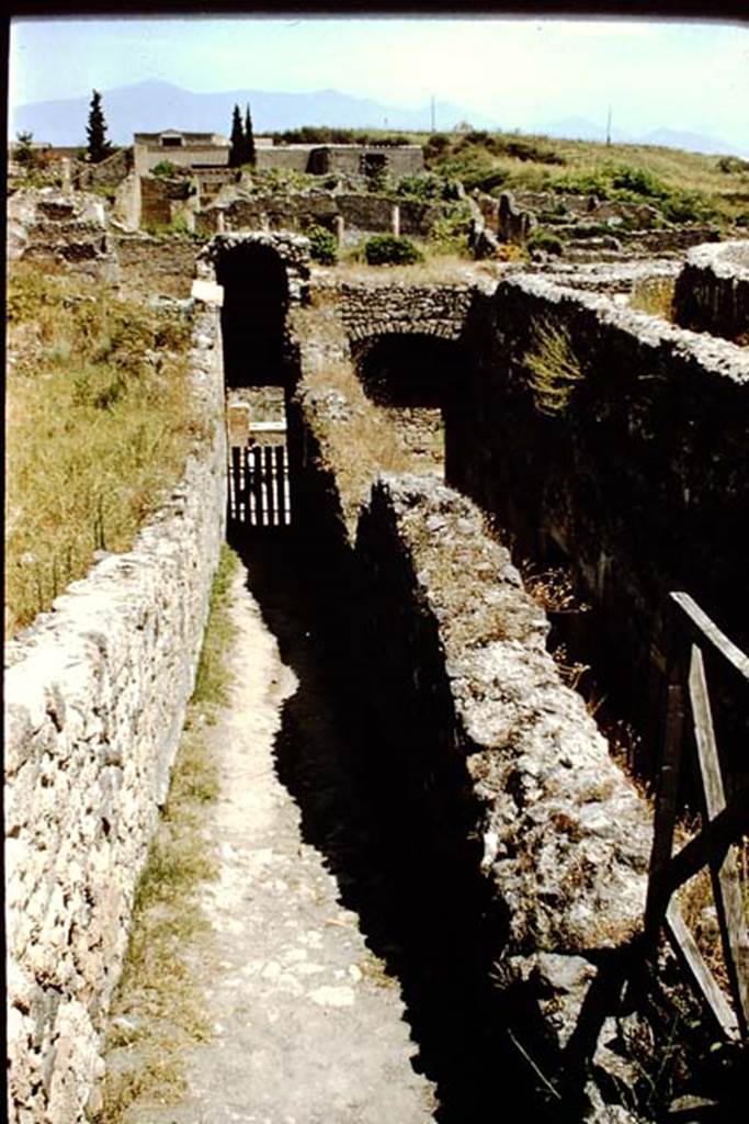 VIII.7.21 (on left) and VIII.7.20 (on right). Pompeii. 1959.  Photo by Stanley A. Jashemski.
Source: The Wilhelmina and Stanley A. Jashemski archive in the University of Maryland Library, Special Collections (See collection page) and made available under the Creative Commons Attribution-Non Commercial License v.4. See Licence and use details.
J59f0265
