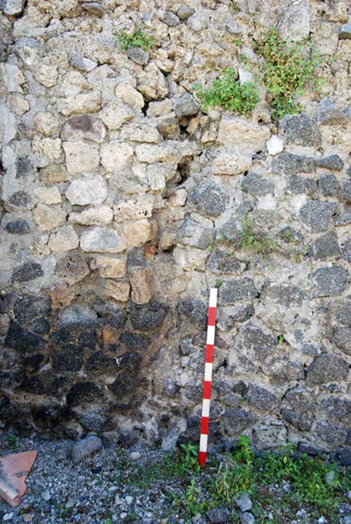 VIII.7.22 Pompeii. June 2009. South wall. Photo courtesy of Sera Baker.