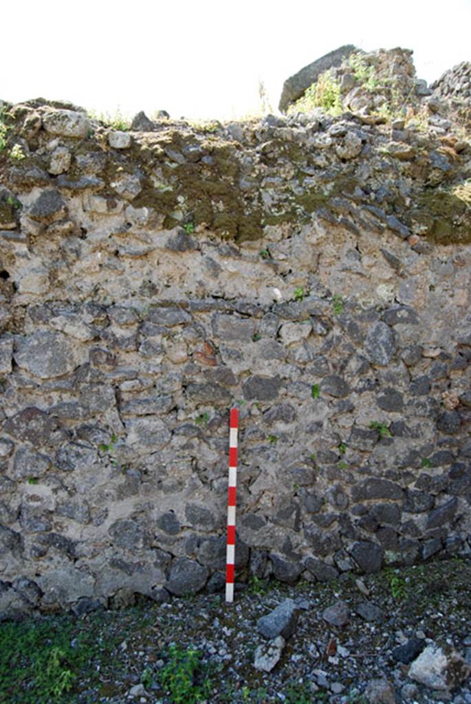 VIII.7.22 Pompeii. June 2009. South wall. Photo courtesy of Sera Baker.