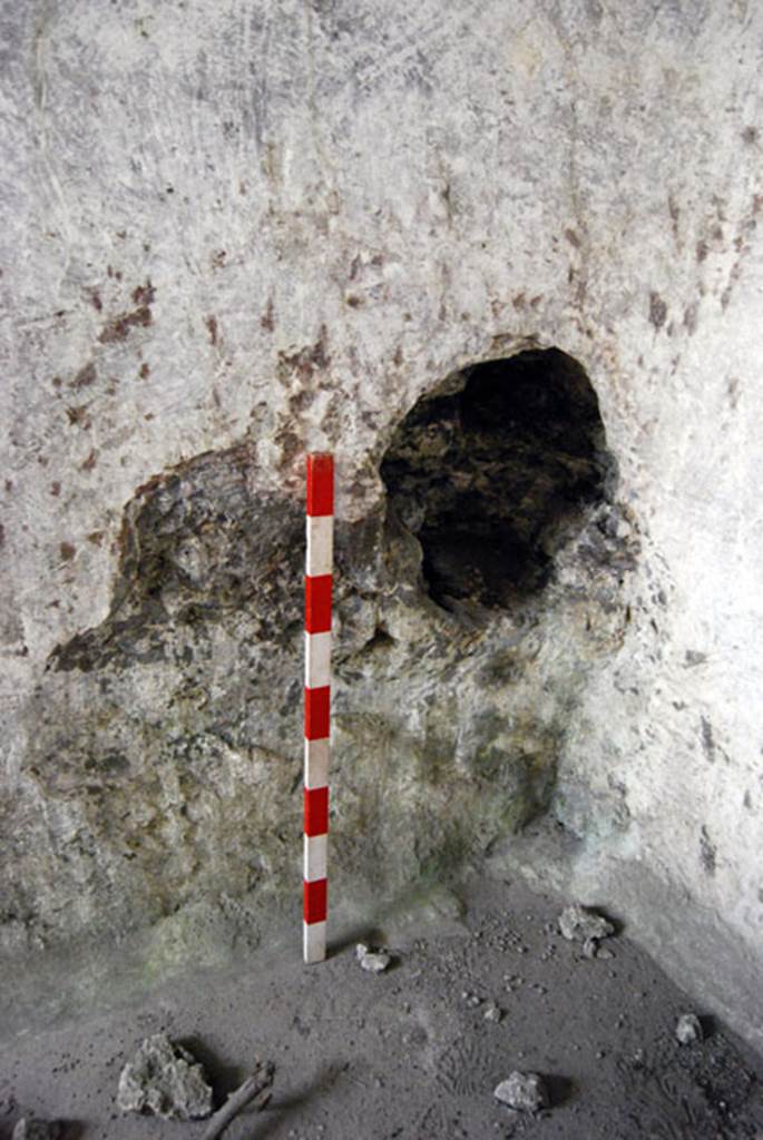 VIII.7.22 Pompeii. June 2009. Niche in north-east corner of room D. Photo courtesy of Sera Baker.