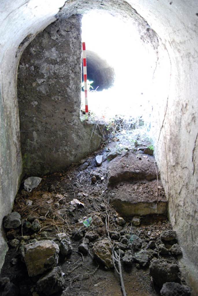 VIII.7.22 Pompeii. June 2009. Looking west from room D. Photo courtesy of Sera Baker.
