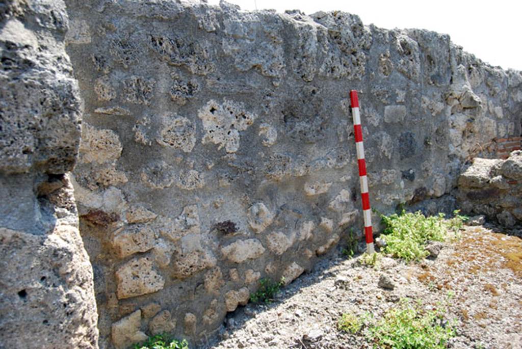 VIII.7.24 Pompeii. June 2009. East wall of room in south-east corner of atrium. Photo courtesy of Sera Baker.