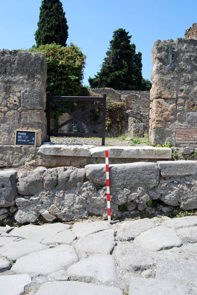 VIII.7.24 Pompeii. June 2009. Detail of entrance threshold and pavement edging. Photo courtesy of Sera Baker.
