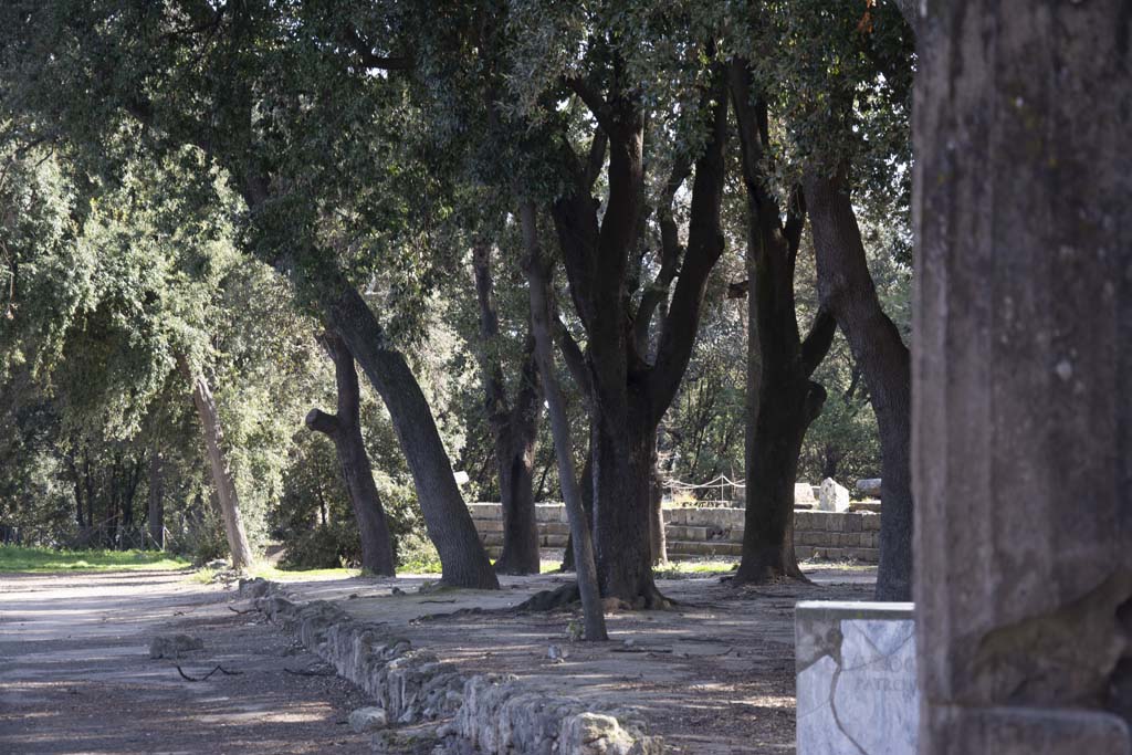 VIII.7.30 Pompeii. March 2019. Triangular Forum east side, looking towards the Doric Temple.
Foto Annette Haug, ERC Grant 681269 DÉCOR.
