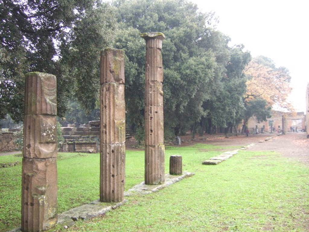 VIII.7.30 Pompeii. December 2005. Triangular Forum east side looking north..