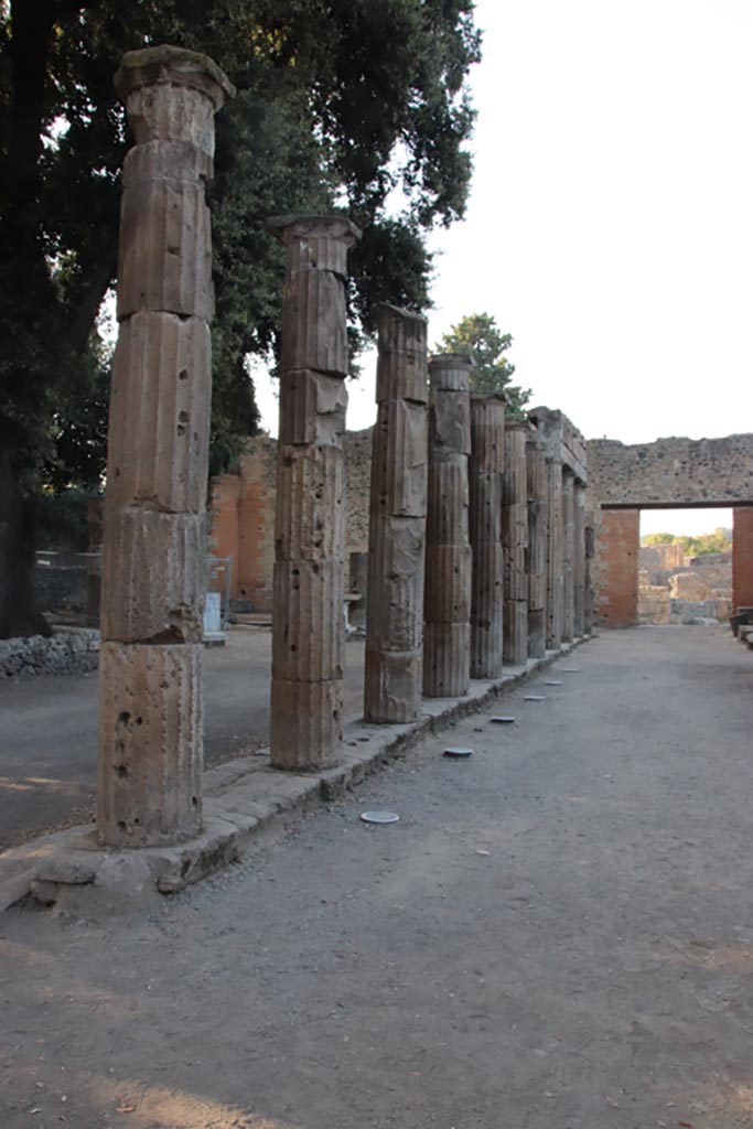 VIII.7.30 Pompeii. October 2023. Looking north along east portico. Photo courtesy of Klaus Heese.