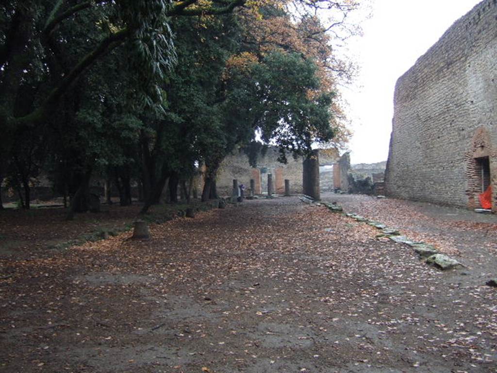 VIII.7.30 Pompeii. December 2005. Triangular Forum looking north.