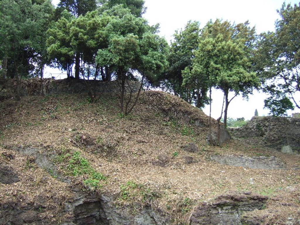 Area of walls near Pompeii Triangular Forum and Tower I from outside city. May 2006.