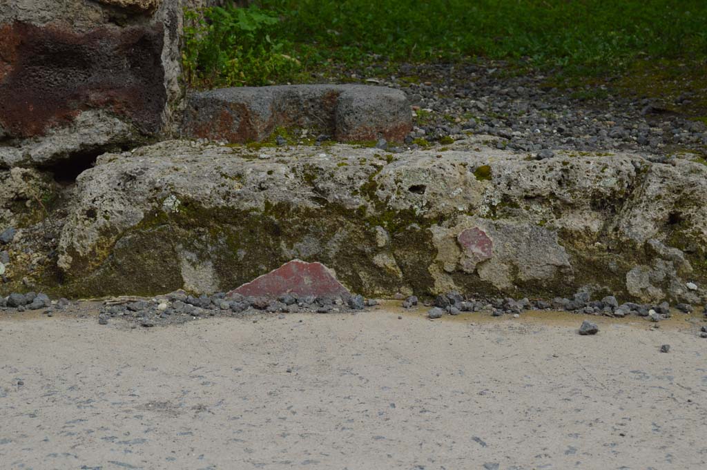 IX.1.13 Pompeii. March 2018. Detail of remaining painted plaster on step at entrance.
Foto Taylor Lauritsen, ERC Grant 681269 DCOR.
