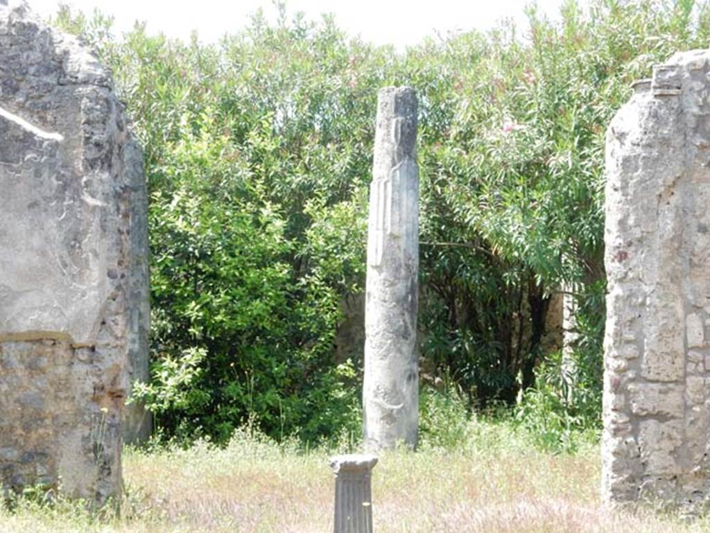 IX.1.29 Pompeii. May 2018. Looking west towards column in peristyle. Photo courtesy of Buzz Ferebee.