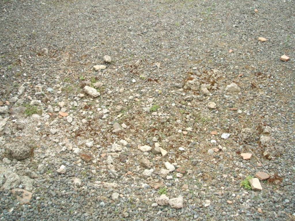 IX.1.32 Pompeii. May 2005. Site of impluvium in atrium.