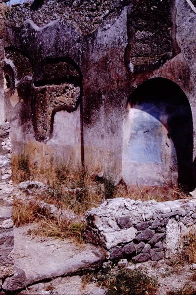 IX.2.7 Pompeii. 1966. Looking towards south wall. Photo by Stanley A. Jashemski.
Source: The Wilhelmina and Stanley A. Jashemski archive in the University of Maryland Library, Special Collections (See collection page) and made available under the Creative Commons Attribution-Non Commercial License v.4. See Licence and use details.
J66f0125
