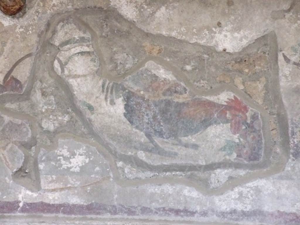 IX.2.10 Pompeii. December 2007. Wall painting of cockerel pecking at a bunch of grapes, from tablinum.