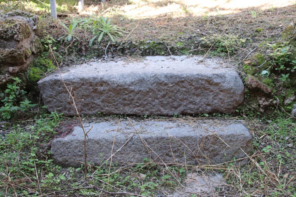 IX.2.15 Pompeii. October 2022. Steps in garden area, taken from entrance doorway. Photo courtesy of Klaus Heese