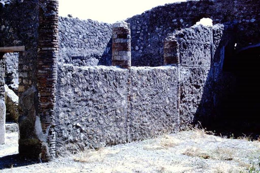 IX.2.15/16 Pompeii. 1966. Looking towards south side of garden area, with doorway to kitchen area, on the left. Photo by Stanley A. Jashemski.
Source: The Wilhelmina and Stanley A. Jashemski archive in the University of Maryland Library, Special Collections (See collection page) and made available under the Creative Commons Attribution-Non Commercial License v.4. See Licence and use details. J66f0373
