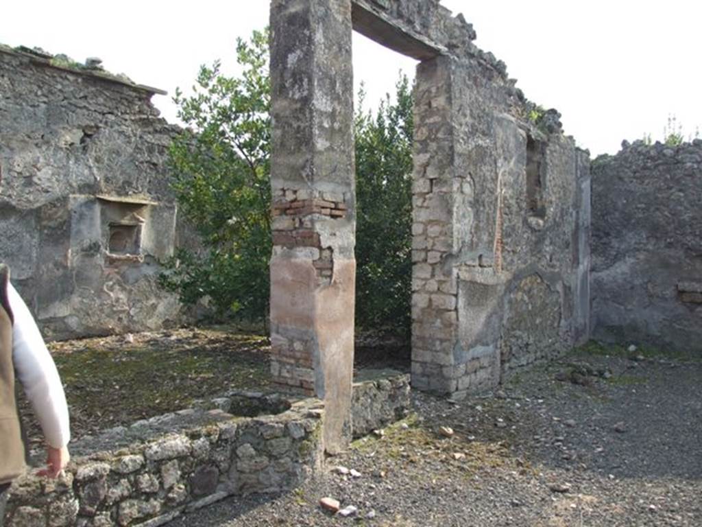 IX.2.21 Pompeii.   March 2009.   Room 11.  North wall of garden area.