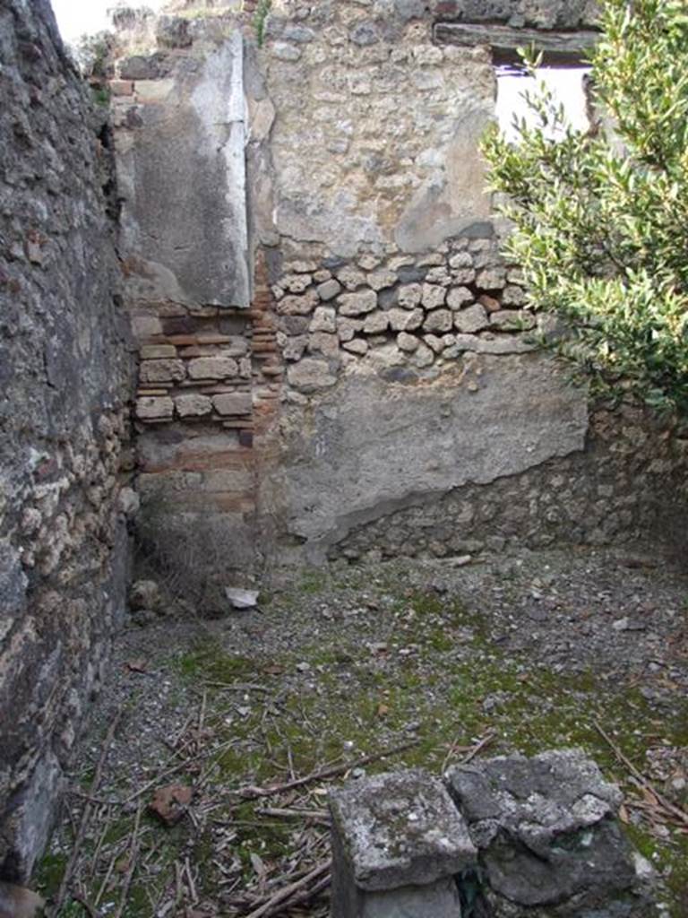 IX.2.21 Pompeii.   March 2009.  Room 11. West wall of garden area.