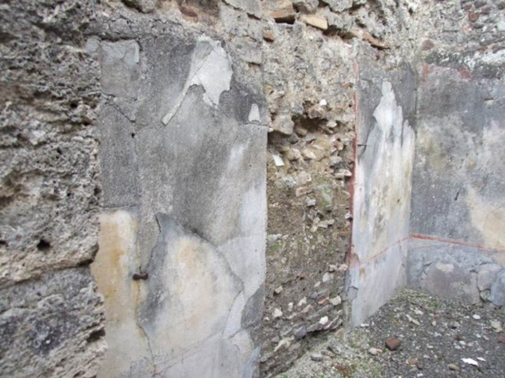 IX.2.23 Pompeii. March 2009. East wall of rear room.  The black zoccolo would have been decorated with painted plants in panels, by a yellow middle zone and by a red frieze. 
