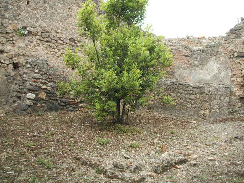 IX.2.24 Pompeii.  May 2005.  Staircase on west wall on left of picture.  Podium is on the right.  