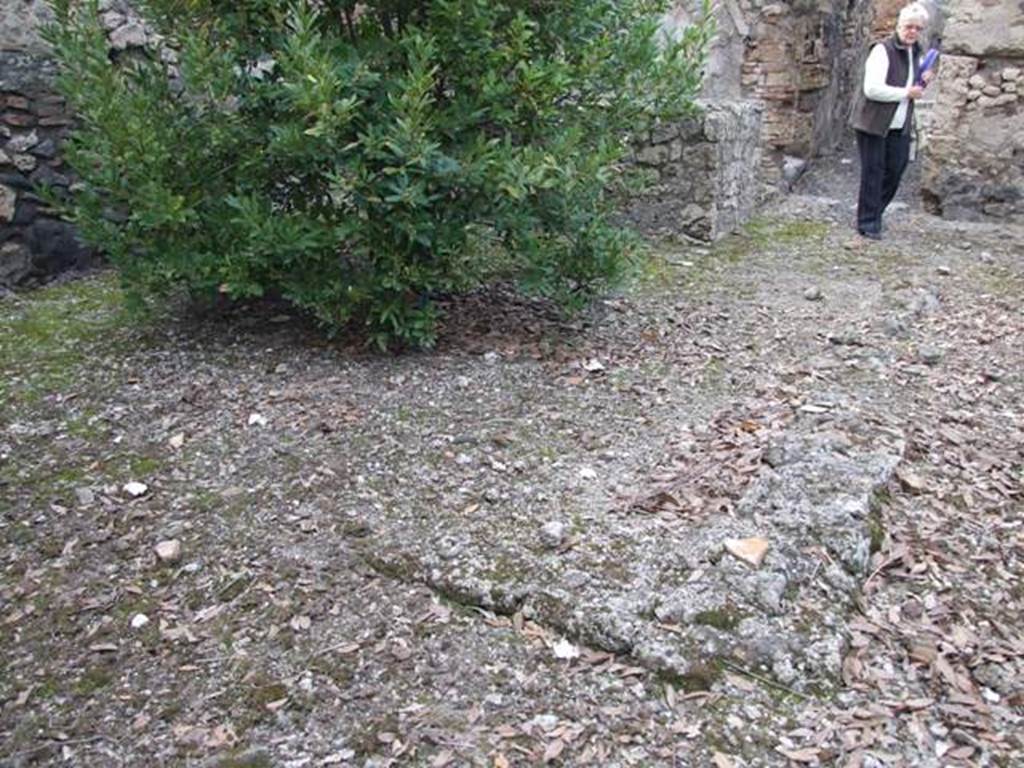 IX.2.24 Pompeii.  March 2009.  Remains of walls in centre of yard area