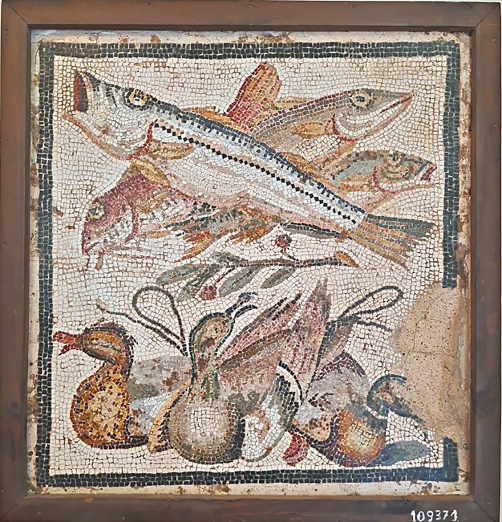 IX.2.27 Pompeii. Mosaic of ducks and fish found in a cubiculum on the east side of the peristyle.
Now in Naples Archaeological Museum, inventory number 109371.
According to the information card -
Fish and ducks.
Mosaic emblema in opus vermiculatum made from Polychrome tesserae.
Still lifes, separated by a branch of leaves and berries, are depicted against a white background.
In the upper register, there is a sea bass above three red mullets; two mallards and an Egyptian goose tied together by a lace are depicted in the lower register. (First half of the Ist century BC.)
(Pesci e anatre.
Emblema pavimentale a mosaico di tessere policrome.
Sul fondo bianco, sono rappresentate nature morte, separate da un ramo di foglie e bacche.
Nel registro superiore, vi è una spigola sopra tre triglie; in quello inferiore, compaiono due germani e un’oca egiziana legate con un laccio.
Prima metà del I secolo a.C.)
Photo courtesy of Giuseppe Ciaramella. September 2024.
